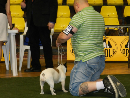 darmowy hosting obrazków