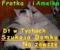 Obrazek