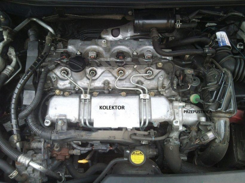 FORUM AVENSIS KLUB POLSKA [Avensis T25] Czyszczenie