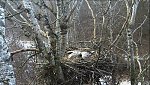 http://images41.fotosik.pl/95/c449af155bbc626bm.jpg