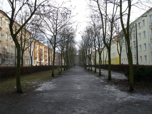 park przy ul. Noakowskiego