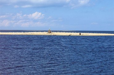 Mikoszewo - ujście Wisły #Jantar #Mikoszewo #Bałtyk #morze #Wisła