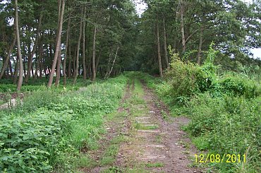 szlak do Pogorzelicy #Gryfice #Gryficka #Kolej #Lxd2 #Nadmorska #Niechorze #Pogorzelica #Remont #Rewitalizacja #Wąskotorowa