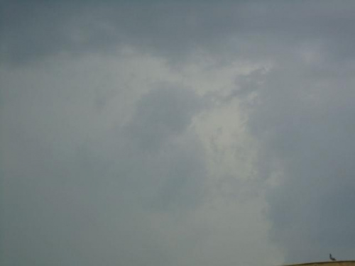 Komórka burzowa nad Czarnkowem, godz. 09:05 - 19.08.2011
