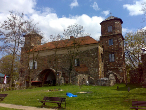 Zamek w Toszku