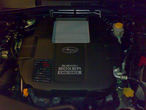 Boxer Diesel