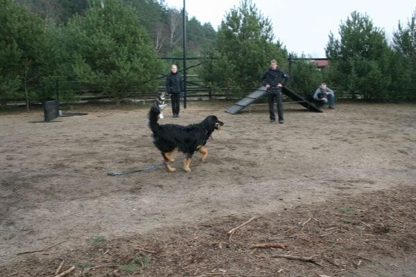 Szkolenie PT -marzec-kwiecień 2009 Nekielka