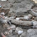 wykopaliska archeologiczne #bydgoszcz #focha #wykopaliska