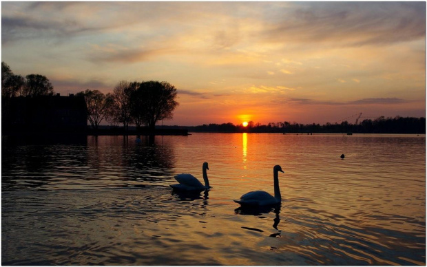 #Ostróda #Mazury #jezioro #ZachódSłońca #łabędzie