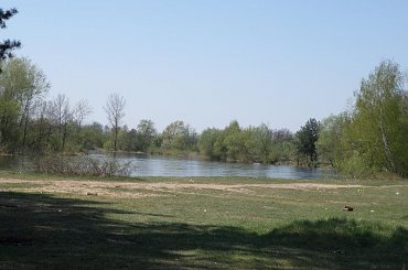 PZK #łąka #pzk #trawa #chwast #jezioro #wypoczynek