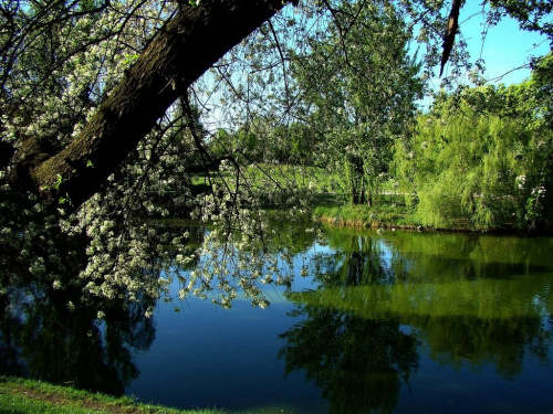 zaczyna się wiosna w parku im. prof.Tołpy... #park #wrocław #krajobraz