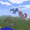 Fluttershy i Rainbow Dash #Minecraft
