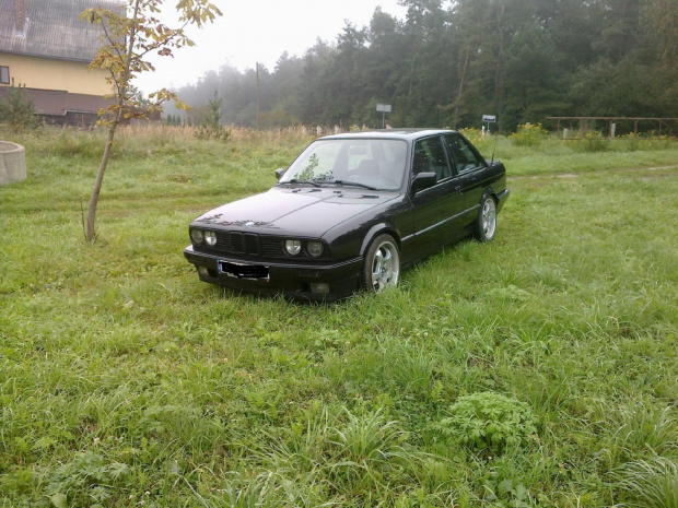 Allegro #allegro