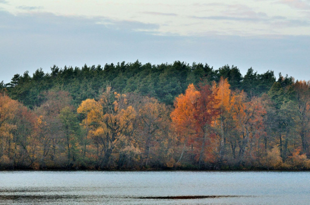 Jesień 2011