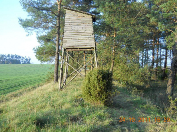 Ambona myśliwska na trasie ścieżki rowerowej.