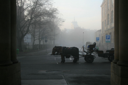 cab in a fog #architektura #mgła #Szczecin