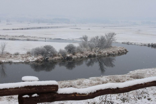 pierwszy śnieg :)