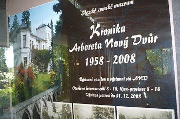 #kwiaty #arboretum #rododendrony #drzewa