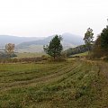 Panorama z Góry Jawor na stronę Słowacką #Góry #BeskidNiski #GóraJawor