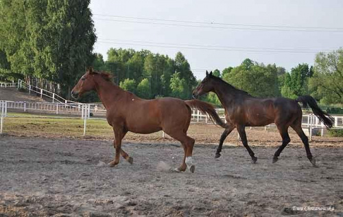 2009.05.21 Trening w Stodołach