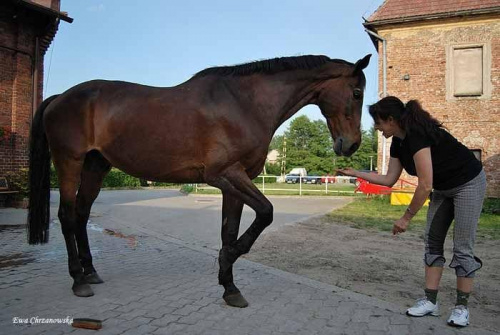 2009.05.21 Trening w Stodołach