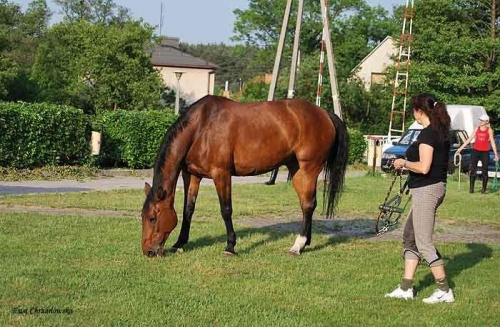 2009.05.21 Trening w Stodołach