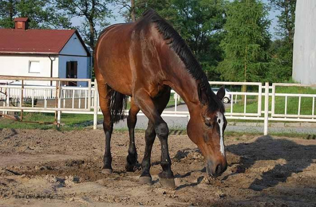 2009.05.21 Trening w Stodołach