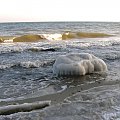 meduza :) #lód #morze #plaża #woda #zima