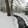 SYPNĘŁO ŚNIEGIEM NA MOJĄ OKOLICĘ...