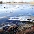 Kra na j. Grajewko #jezioro #kra #zima #mazury