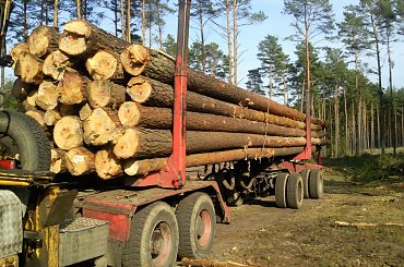 Scania #TransportDrewna