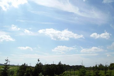 niebo #ogród #natura #rosliny #kwiatki #roslinność #roslinnosc #macro #piękno #działka #dojrzewanie #rozkwit #lato #wiosna #ciepło #owoce #drzewka #ogrod #zbiory #plony #OwoceNatury #wieś #wioska #niebo