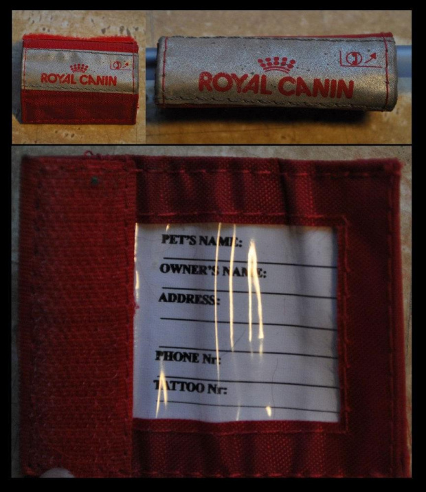 adresówka RC #adresówka #obroża #RoyalCanin