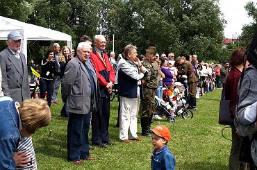 IX Piknik Kawaleryjski w Suwałkach #konie #koń #PiknikKawaleryjski #Suwałki #kawaleria