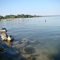 Balaton