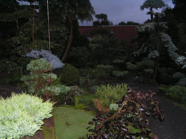 Ogród japoński stworzony przez indywidualnego człowieka, teraz wielkiego pasjonatę na południu Polski