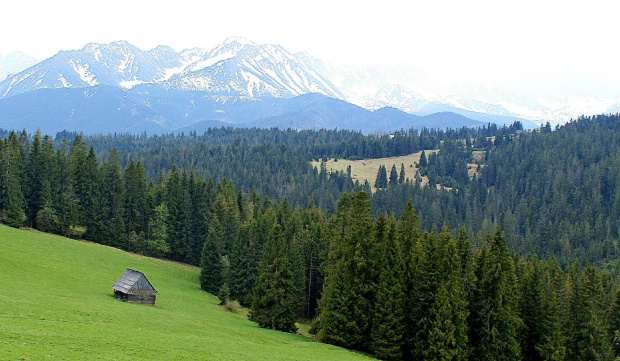 Słodyczki 2012