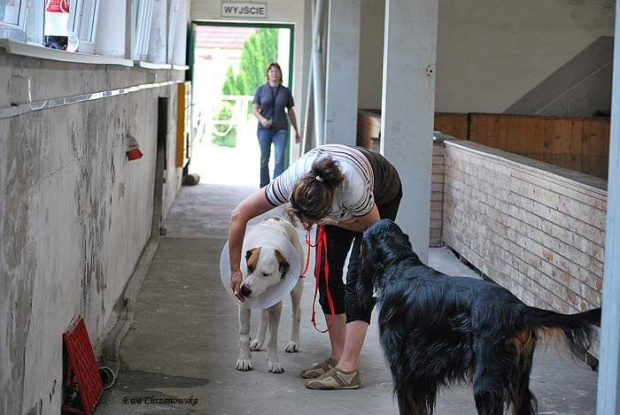 2009.07.04 Egzamin na odznak i- Stodoły trening