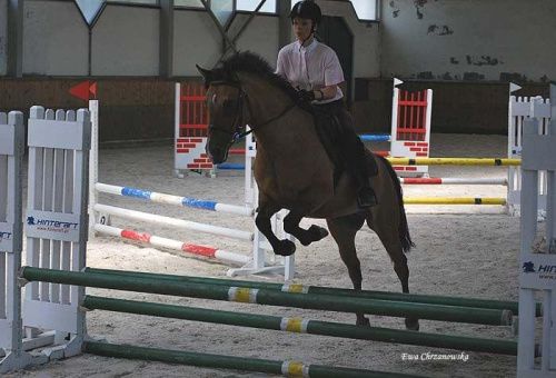 2009.07.04 Egzamin na odznak i- Stodoły trening