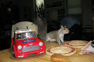 HPI Cup Racer #SamochodyRC