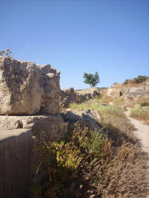 Maroko - Volubilis