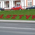 kwiatuszki #Olsztyn