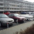 Vectras DK