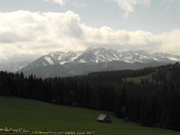 #Głodówka #Tatry #TatryWysokie #GęsiaSzyja #ŁysaPolana #góry