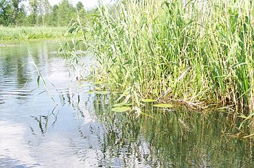 Urlop Pokośno 2012 #urlop