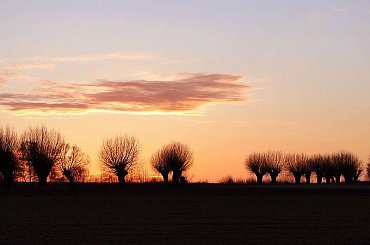 Podlaski zmierzch. #zachod #Podlasie