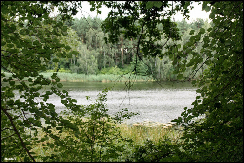 c.d. poznańskiego zoo