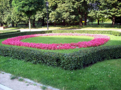 Krakowskie przedmieście w Warszawie #kwiaty #klomb #warszawa