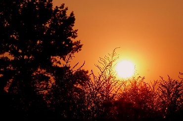 zachod #natura #niebo #slonce #zachod