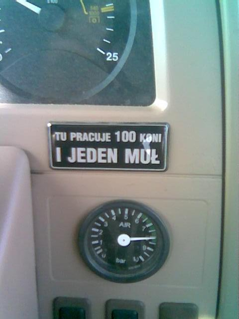 tym razem mułem byłem ja...